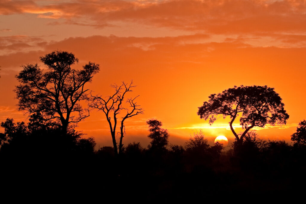 Südafrika, Kruger-Nationalpark