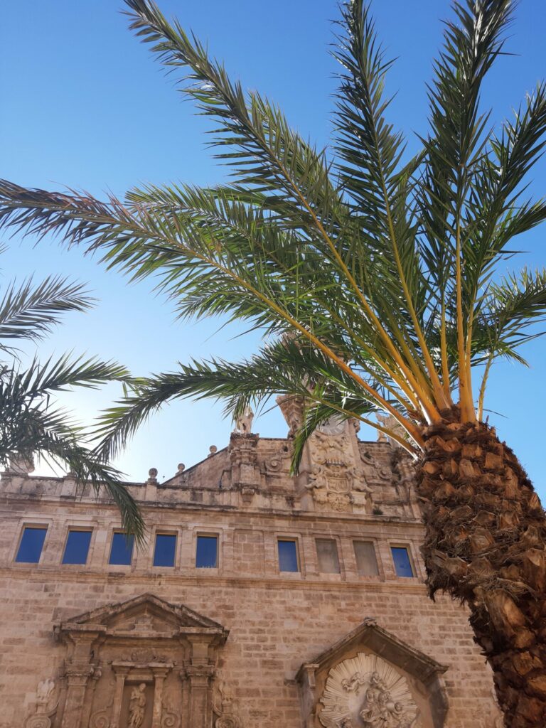Spanien, Valencia, Palme vor historischen Gebäude