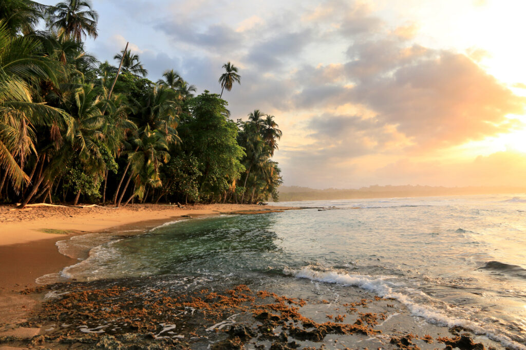 Costa Rica, Strand Playa Manzanillo an Karibikküste