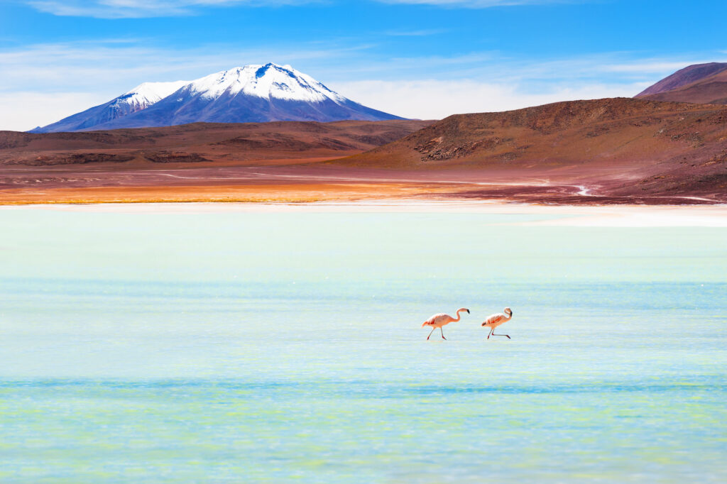 Bolivien, Hochebene Altiplano