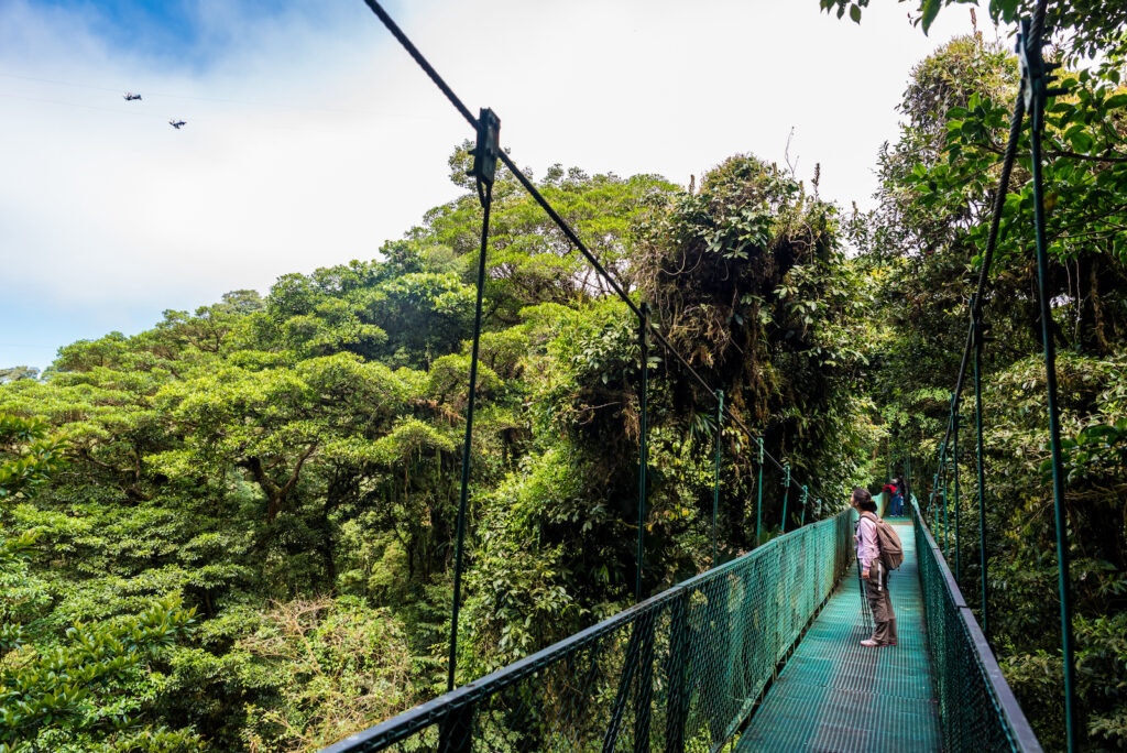 Costa Rica, Hängebrücke im Nebelwald Monteverde
