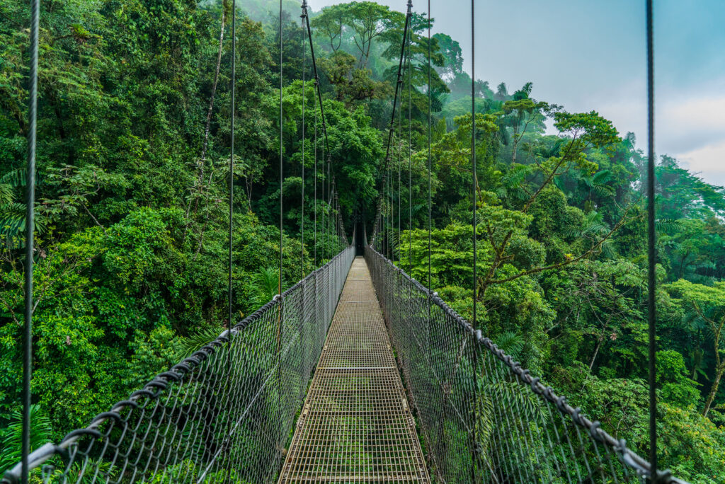 Costa Rica, Hängebrücke im Regenwald