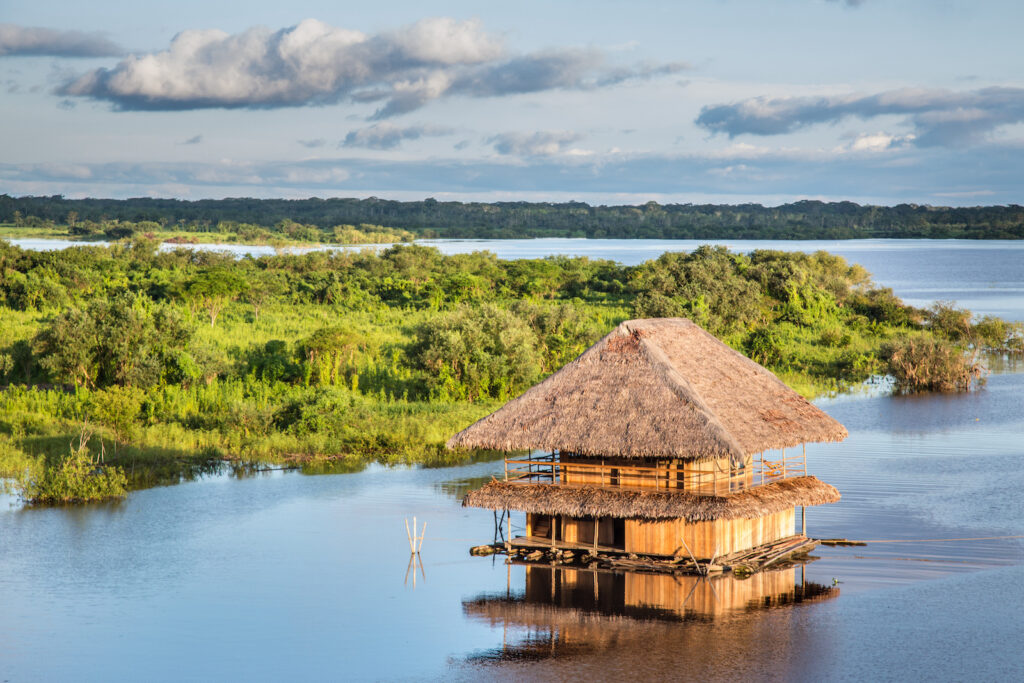 Peru, Iquitos, Regenwald