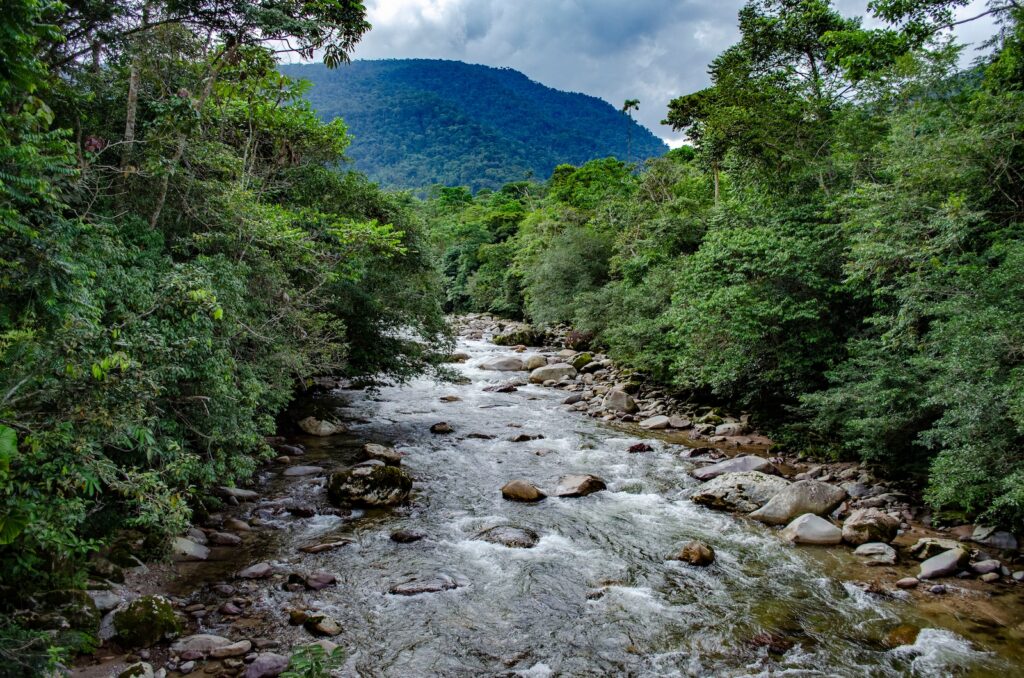 Kolumbien, Natur in der Amazonasregion