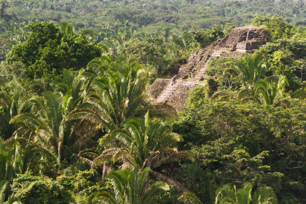 Belize, Regenwald und Ruinen