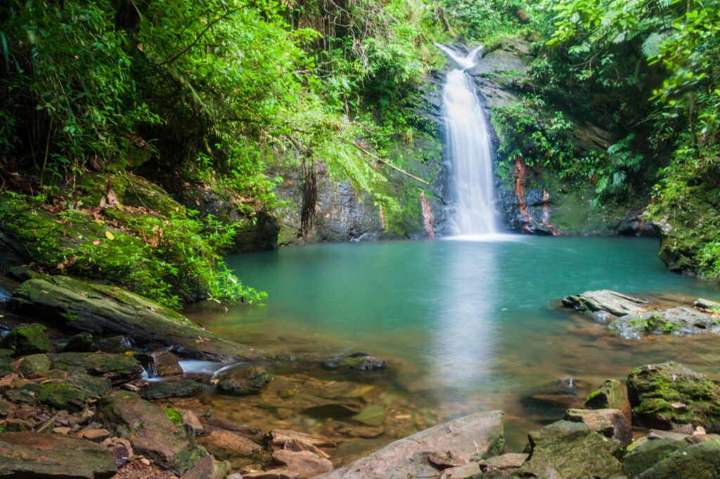 Belize, Wasserfall im Schutzgebiet Cockscomb Basin Forest Reserve