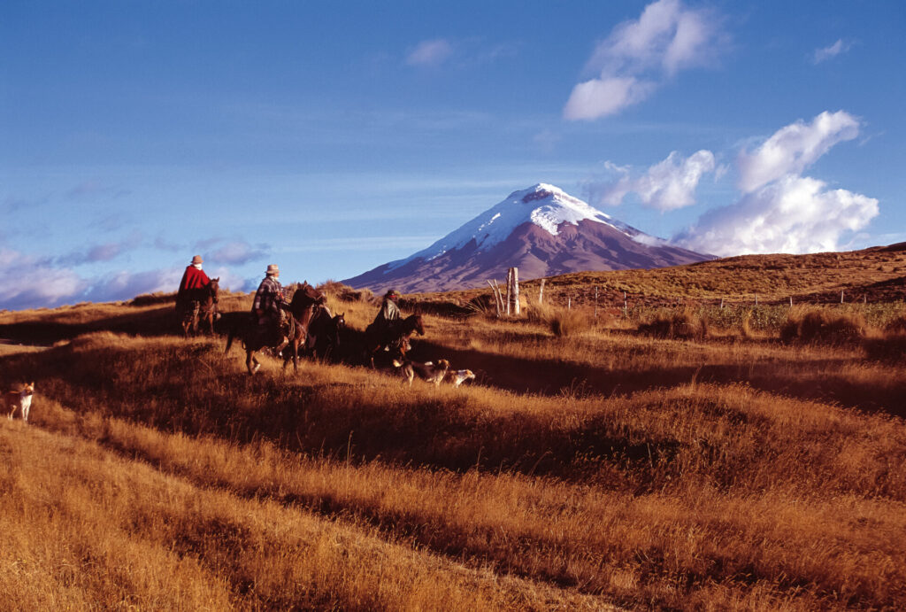 Chagras, also Cowboys im Moor des Cotopaxi National Parks