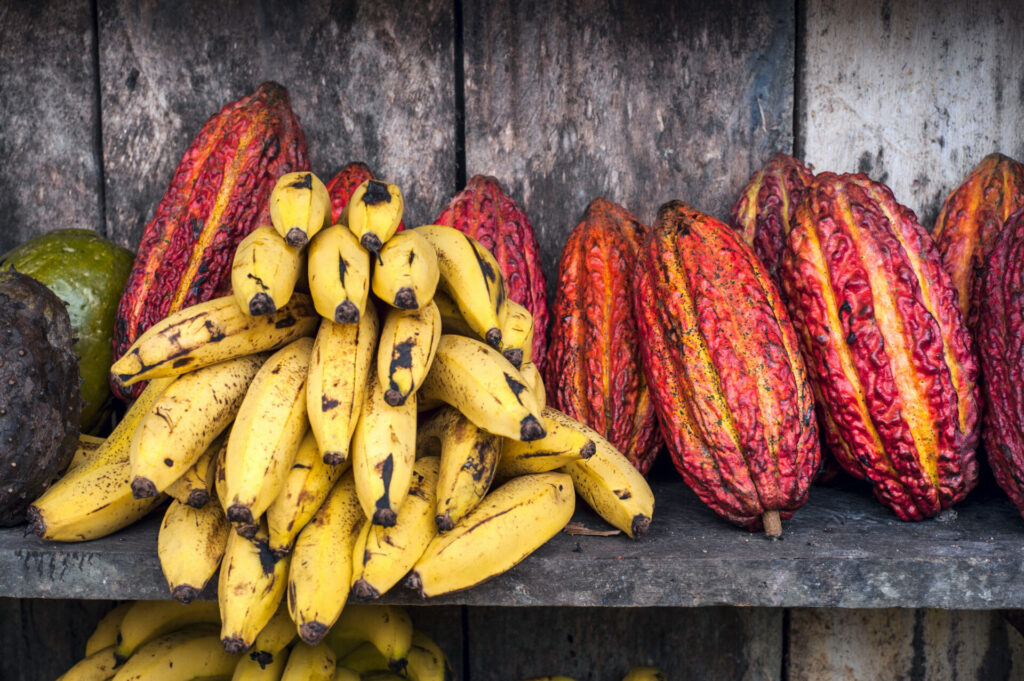 Traditionelle Früchte auf einem Markt in Ecuador 