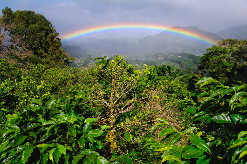 Panama, Regenbogen bei Boquete