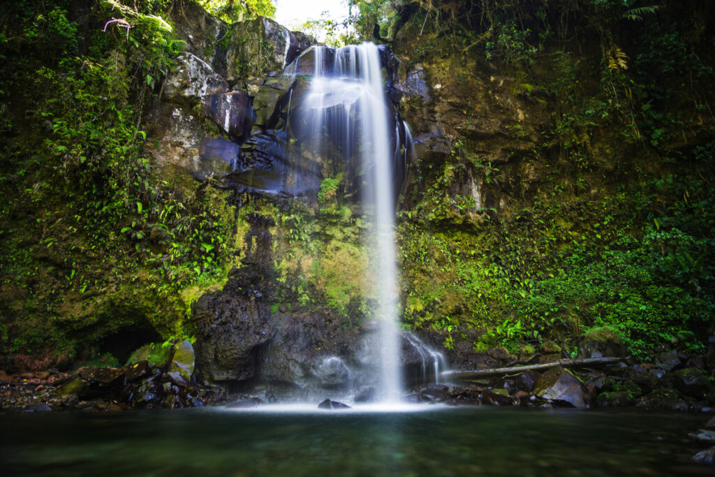 Panama, Lost Waterfall,Boquete