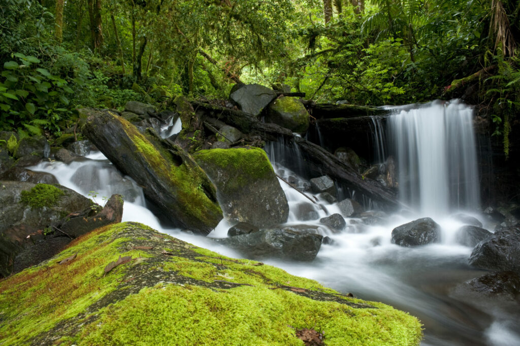 Panama, Wasserfall im Nationalpark bei Chiriqui 