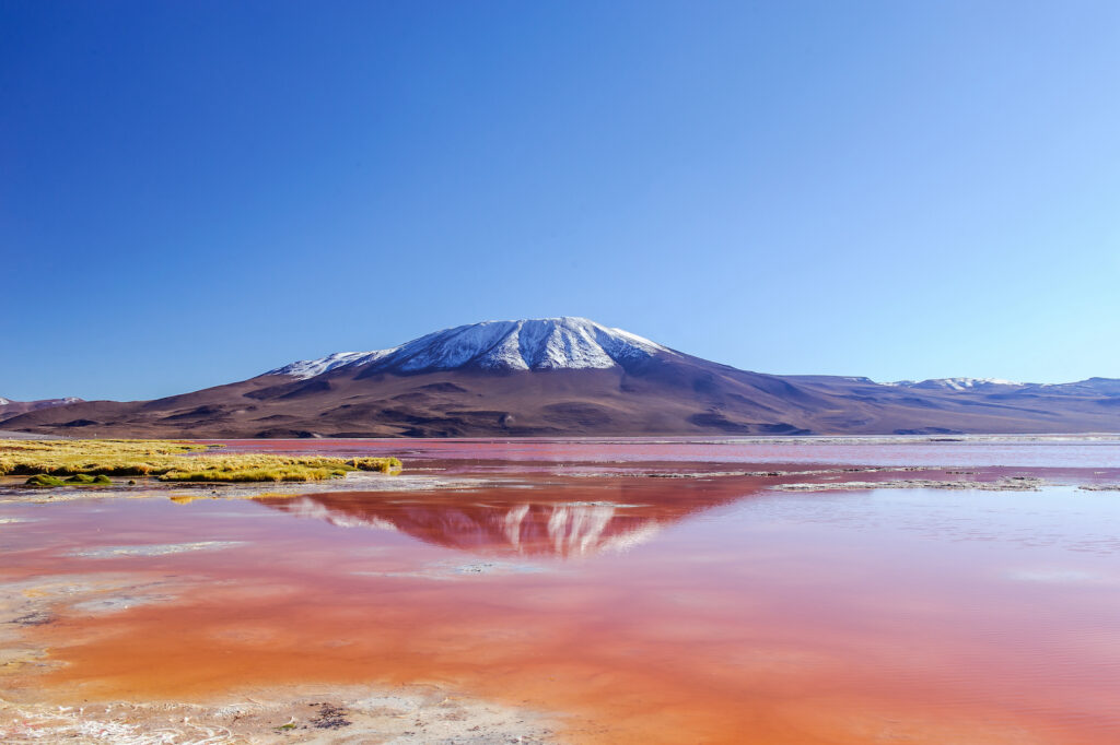Bolivien, Hochebene Altiplano mit dem See Laguna Colorada
