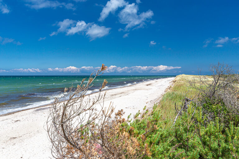 Deutschland, Ostsee, Weststrand Prerow