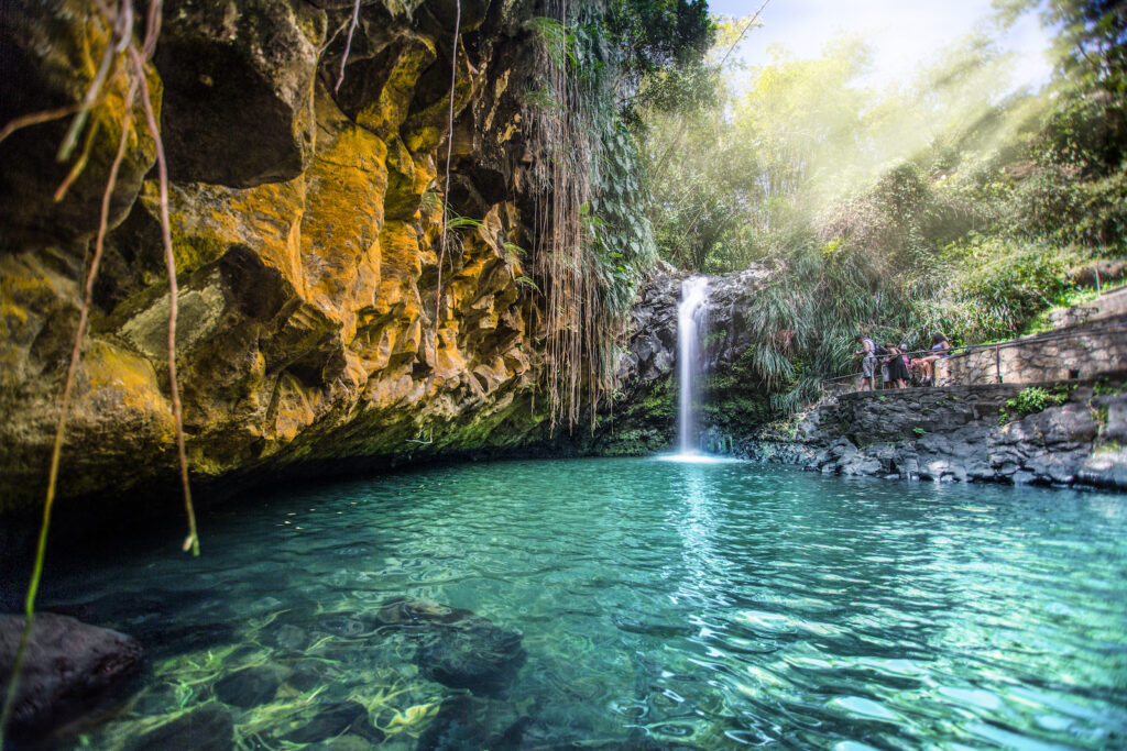 Karibik, Grenada, Annandale Waterfall & Forest Park