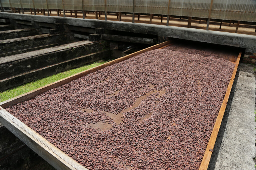 Karibik, Grenada, Landwirtschaft zur Kakaoverarbeitung am Belmont Estate
