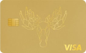 Bank Norwegian Visa Kreditkarte