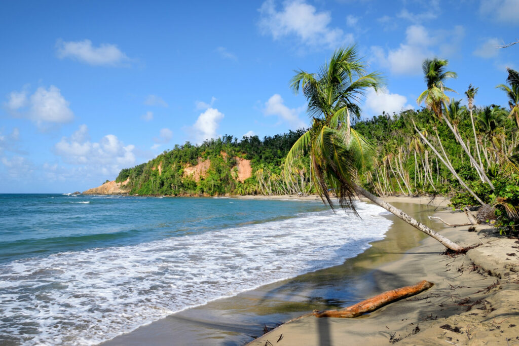 Der Batibou Beach gehört zu den schönsten Stränden auf Dominica