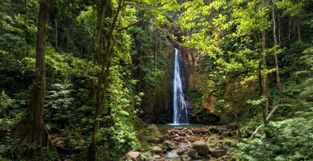 Die Syndicate Waterfalls sind ein beliebtes Ausflugsziel