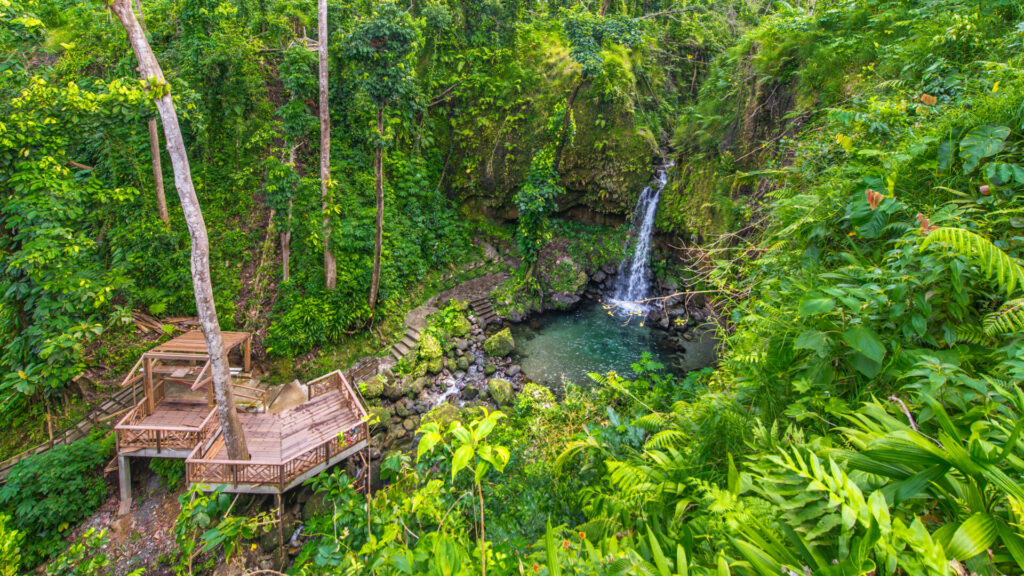 Verwunschener Emerald Pool mitten im Regenwald Dominicas