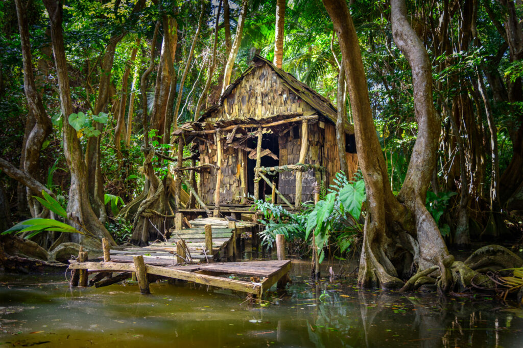 Kleine Hütte im Regenwald Dominicas