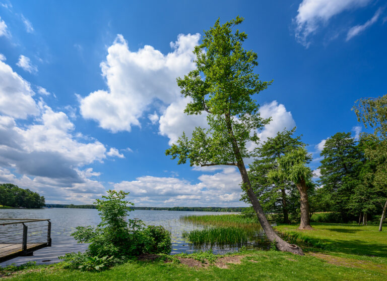 "Ludwig Lesser Promenade" park at the banks of lake "Scharmützelsee" in Bad Saarow