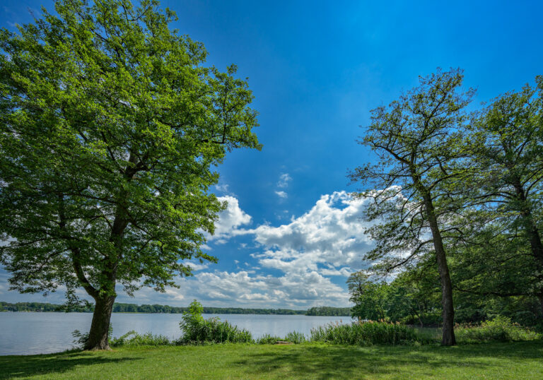 Late summer idyll at the banks of lake "Scharmützelsee" in Bad Saarow