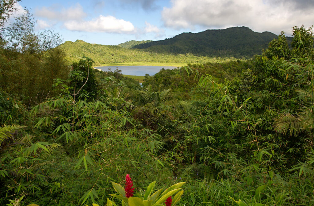 Grenada ist für seinen fruchtbaren Boden bekannt.