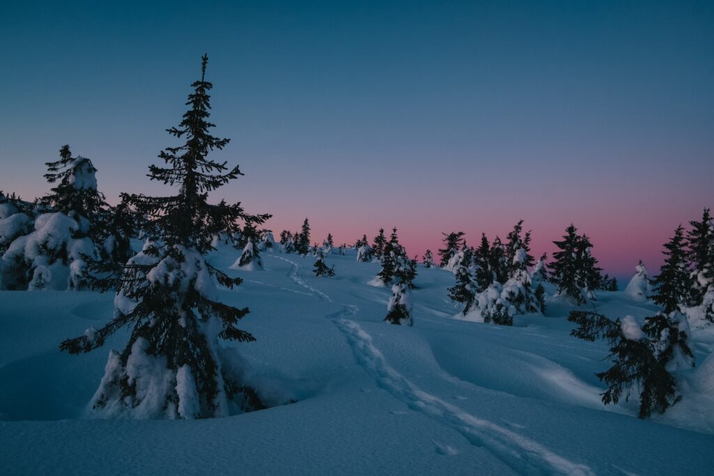 Norwegen, Verschneite Winterlandschaften in Hafjell