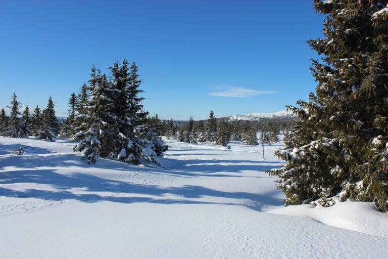 Norwegen, Ostnorwegen, Lillehammer im Winter