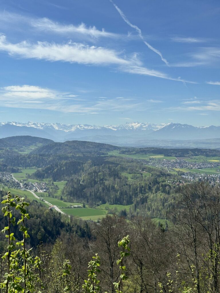 Zürich, Aussicht vom Uetliberg in Richtung der Berge vom Berner Oberland