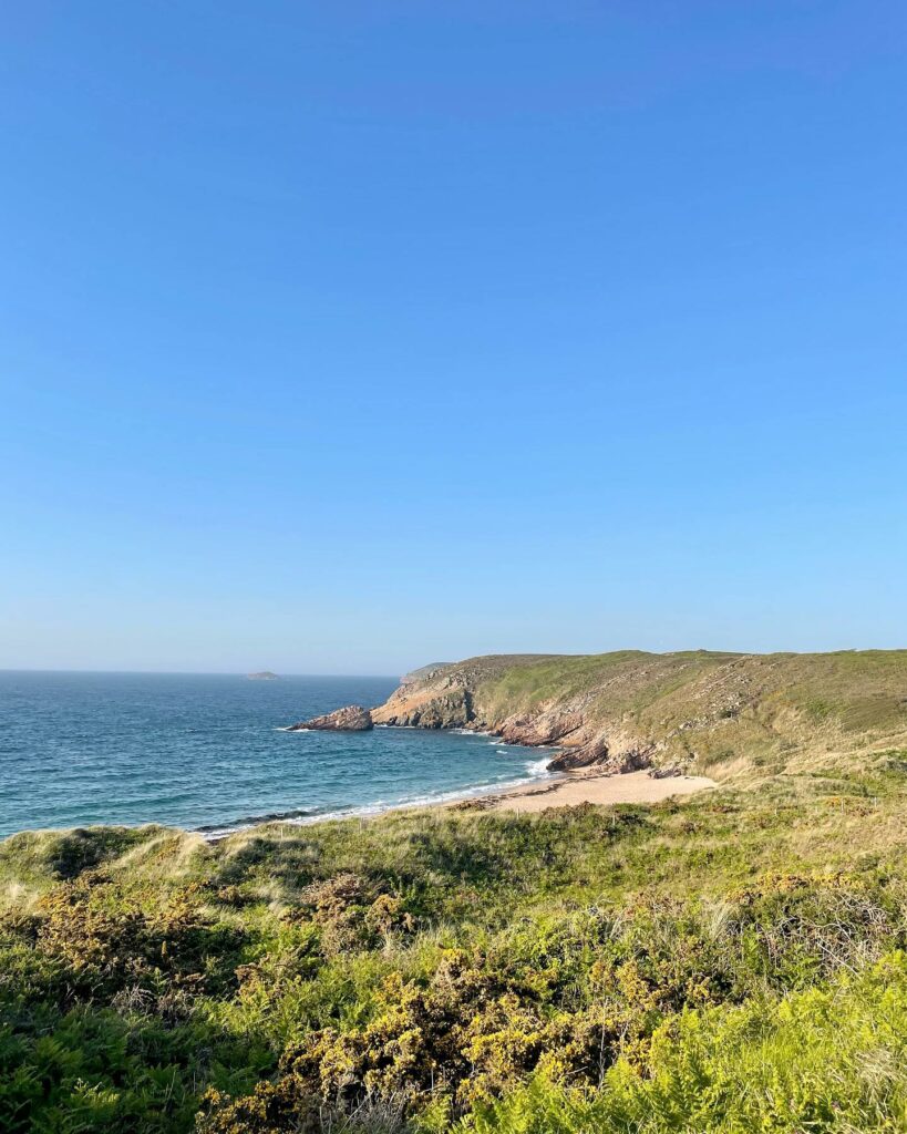 Cap Fréhel Bretagne Frankreich Reiseuhu