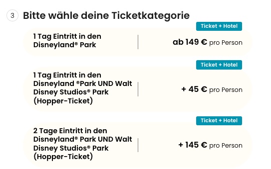 Disneyland Angebot