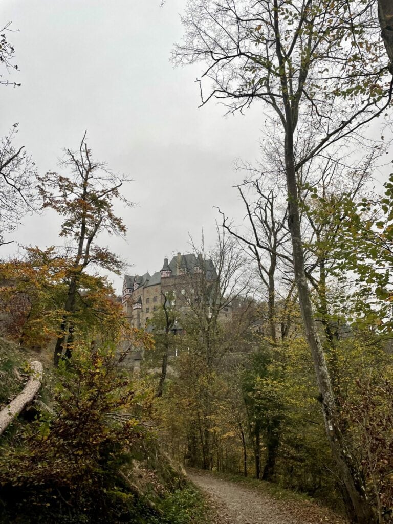 Burg Eltz Wald Reiseuhu