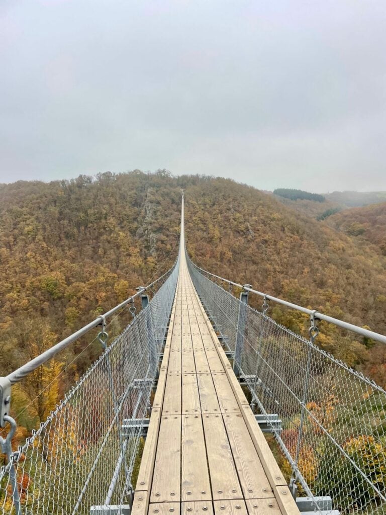 Hängebrücke Geierlay Deutschland Reiseuhu