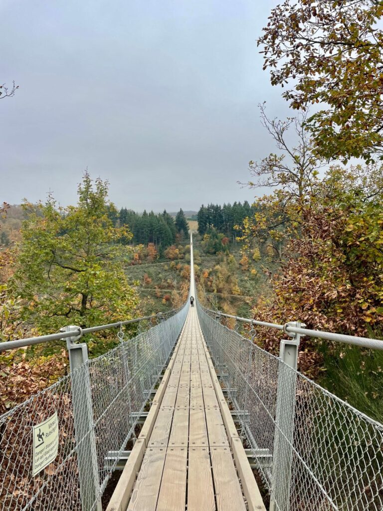 Hängebrücke Geierlay Herbst Deutschland Reiseuhu