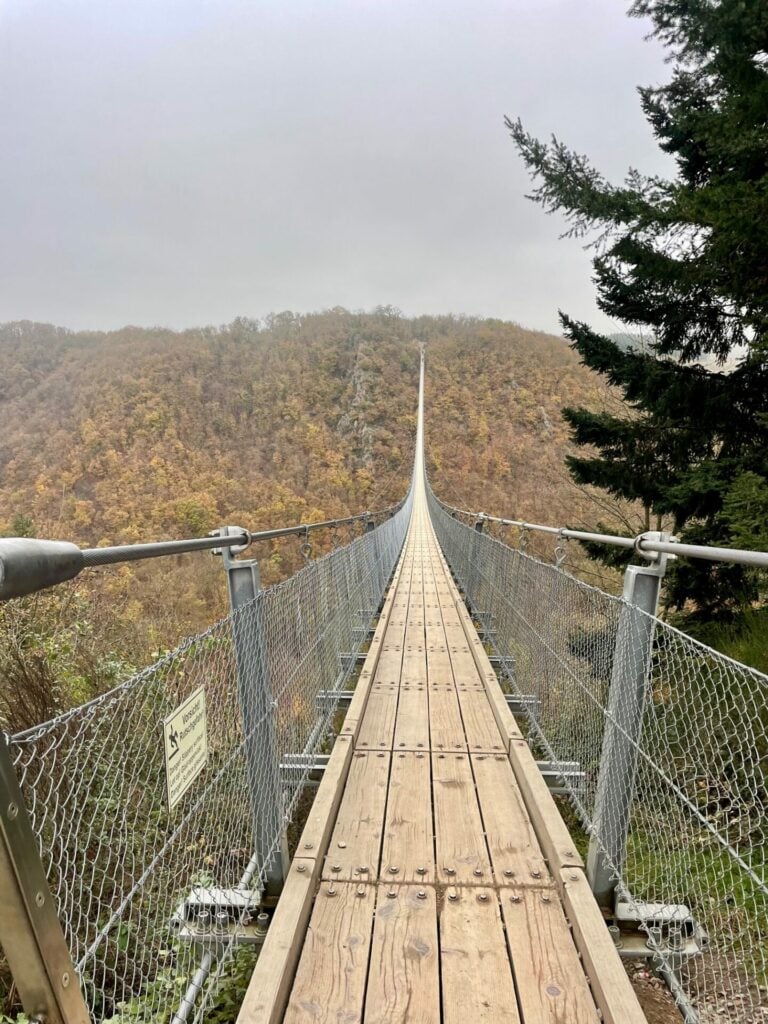 Herbst Hängebrücke Geierlay Deutschland Reiseuhu