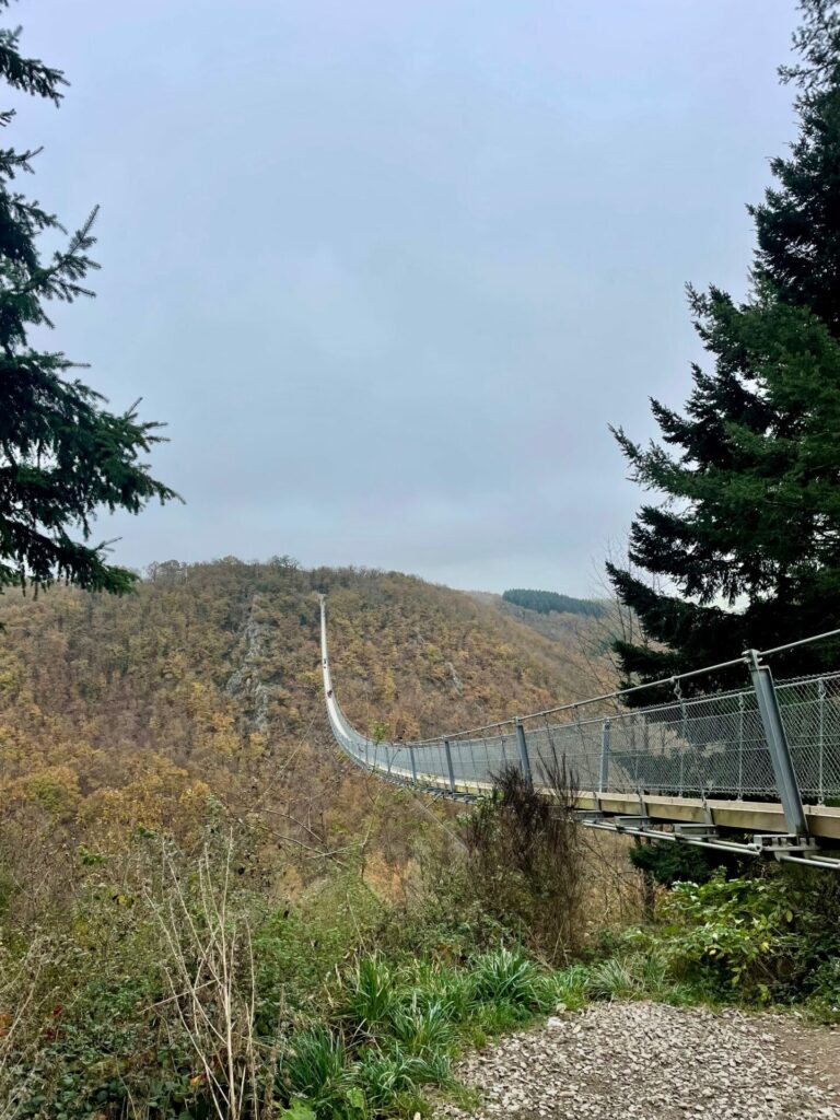 Impression Hängebrücke Geierlay Deutschland Reiseuhu