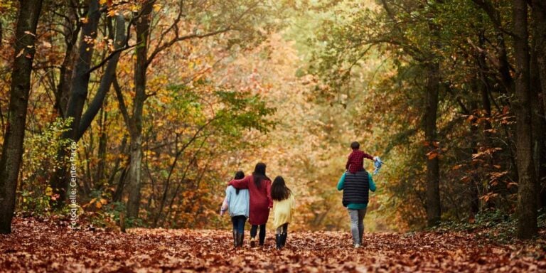 Herbststimmung Center Parcs