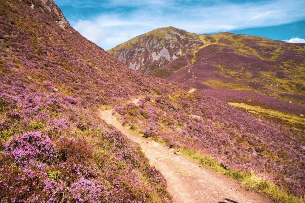 Schottland, Cairngorms-Nationalpark