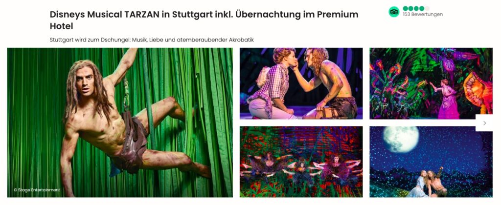 Disneys Musical TARZAN©: Hotel + Tickets in PK 2 ab 99€ p.P. (DZ)