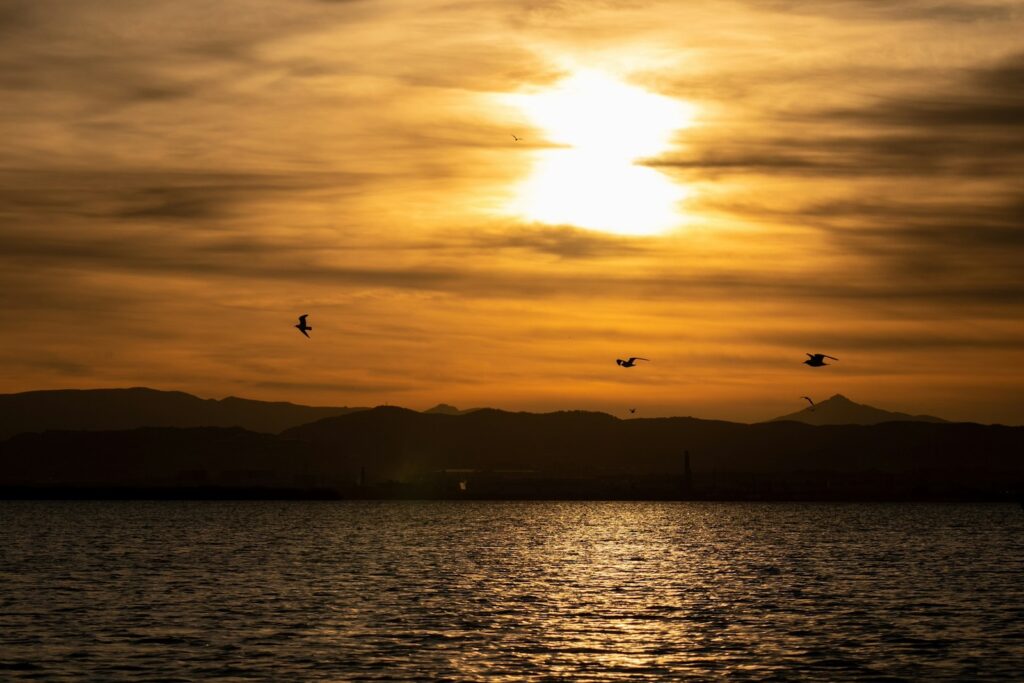 Spanien, Naturpark Albufera nahe Valencia