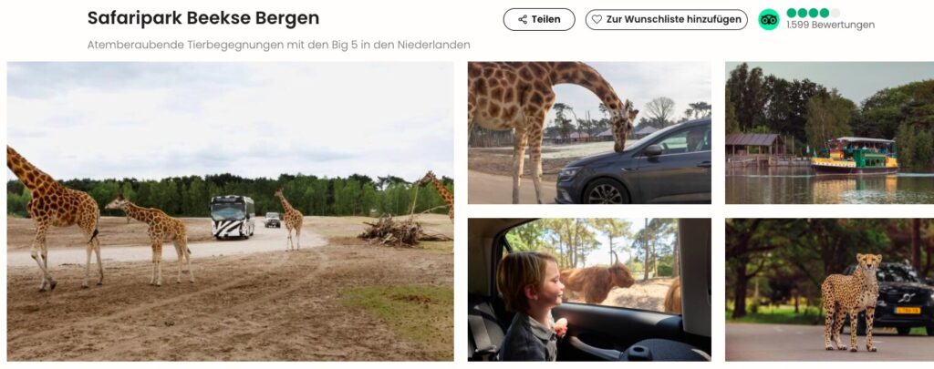 Safaripark Beekse Bergen: 5 Tage in den Niederlanden ab 119€ p.P. (bei 2 Personen) inkl. Eintritt