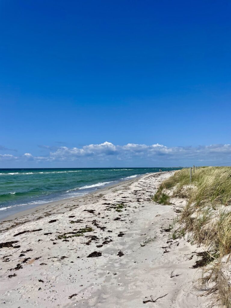 falsterbo halbinsel schweden reiseuhu