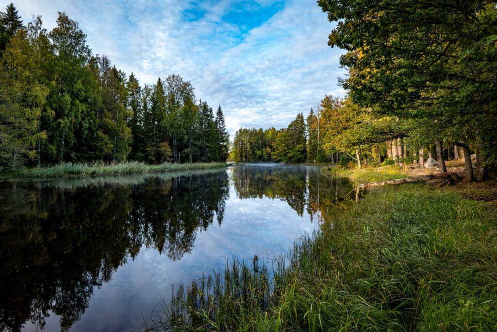 Swedish,Salmon,River,Landscape.,Farnebofjarden,National,Park,In,North,Of