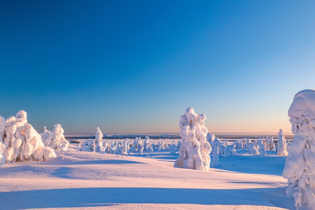 Finnland, Nationalpark Riisitunturi