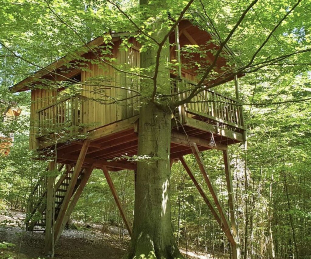 Urlaub im Baumhaus – Übernachtung in Niedersachsen ab 98€ p.P.
