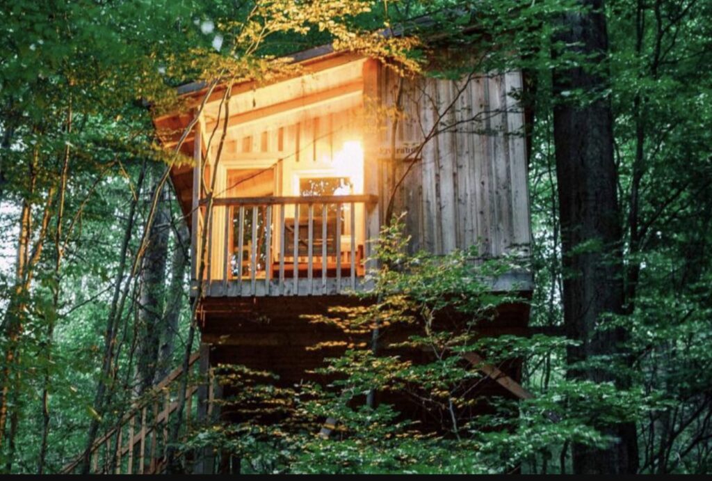 Urlaub im Baumhaus – Übernachtung in Niedersachsen ab 98€ p.P.