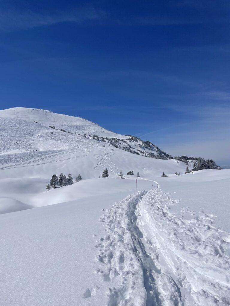 Schweiz, Schwere Schneeschuhwanderung von Stoos zum Fronalpstock