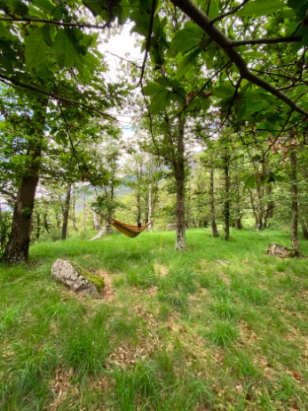 Bildschirmfoto 2026 04 13 um 12.39.09