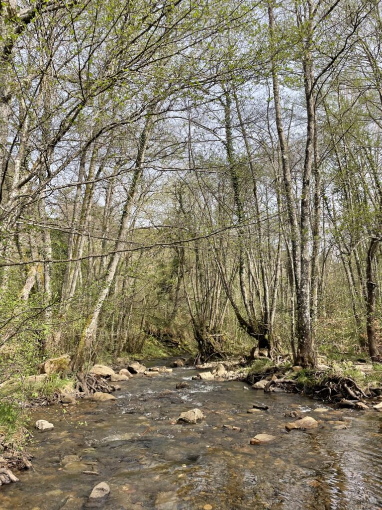 rio bayas bei sarria baskenland spanien reiseuhu